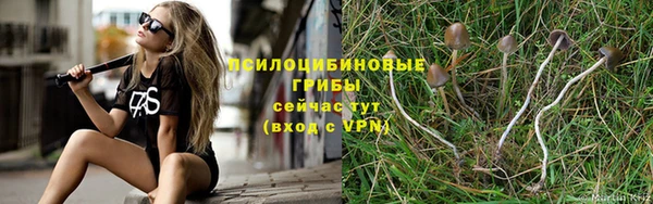 ешки Горно-Алтайск