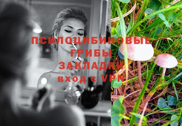 ешки Горно-Алтайск