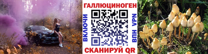 наркота  Магнитогорск  Псилоцибиновые грибы прущие грибы 